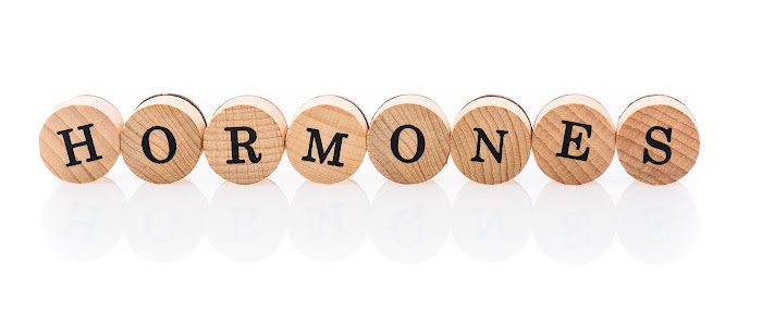Block letters spell the word "Hormones"